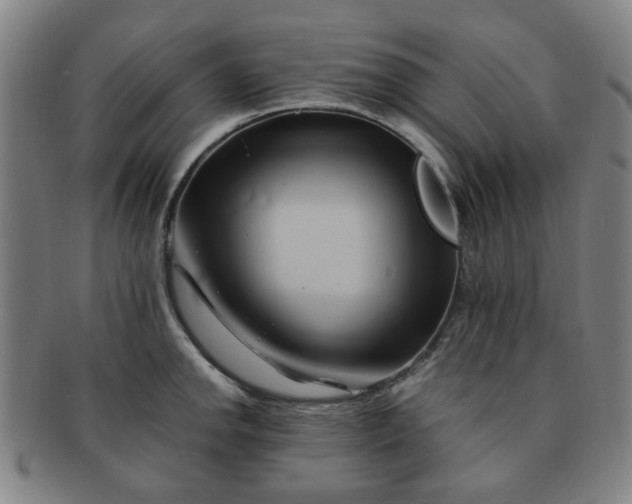 X0000091571142200708271152