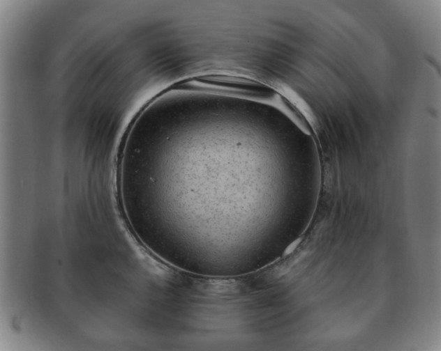 X0000091571144200708271152