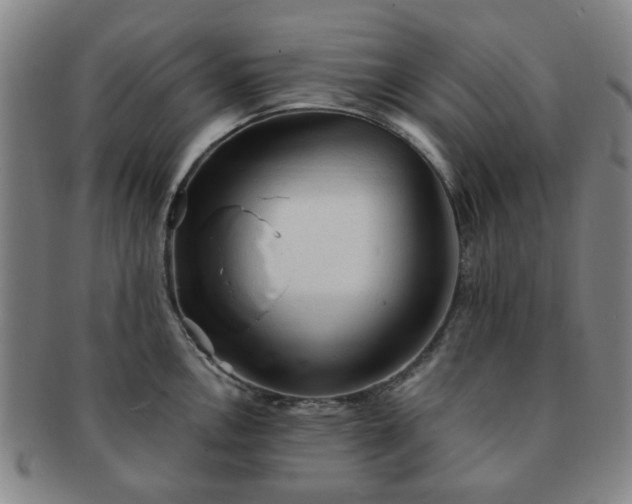 X0000091571146200708271152