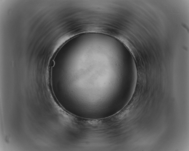X0000091571147200708271152