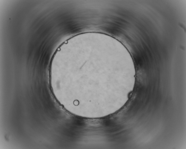 X0000091571150200708271152