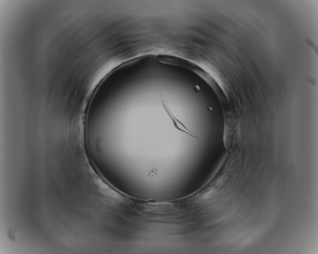 X0000091571151200708271152
