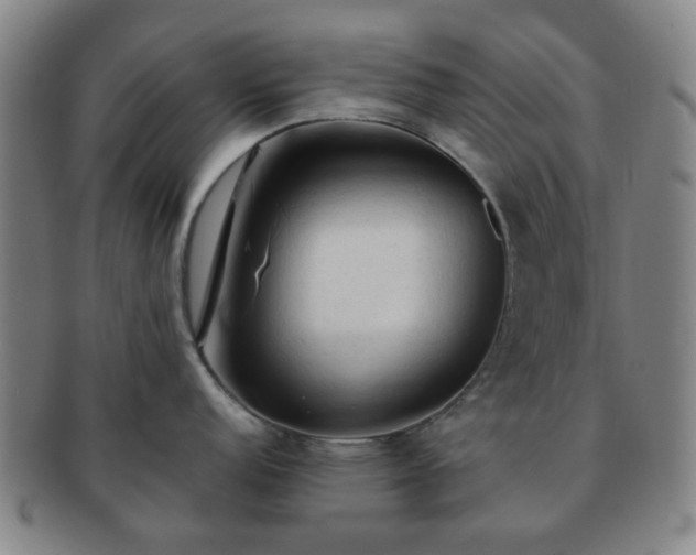 X0000091571152200708271152