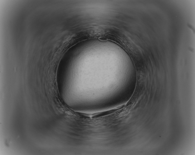 X0000091571153200708271152