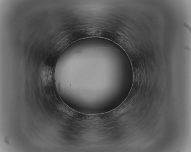 X0000091571154200708271152