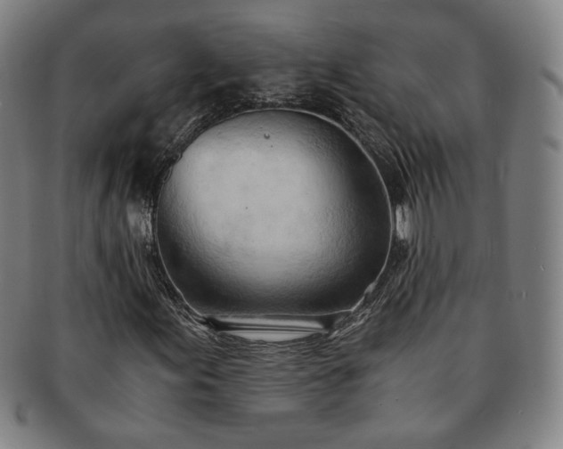 X0000091571155200708271152