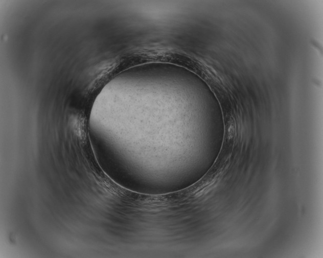 X0000091571156200708271152