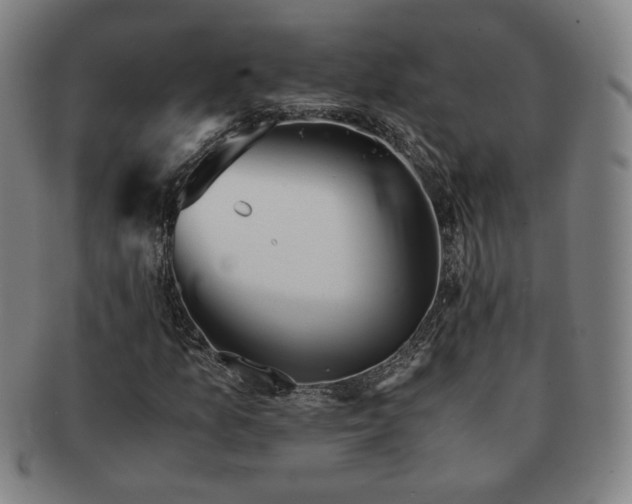 X0000091571157200708271152
