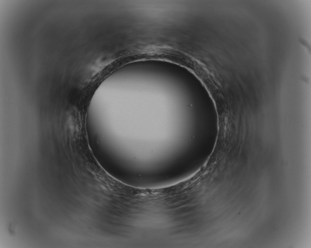 X0000091571158200708271152