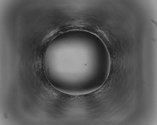 X0000091571159200708271152
