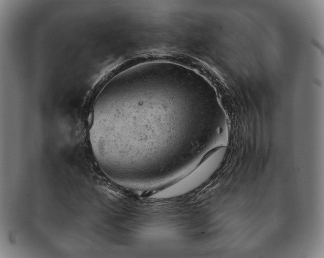 X0000091571160200708271151
