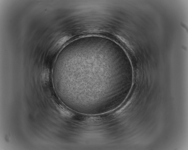 X0000091571161200708271151
