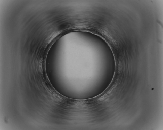 X0000091571162200708271151
