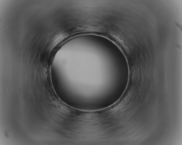 X0000091571163200708271151