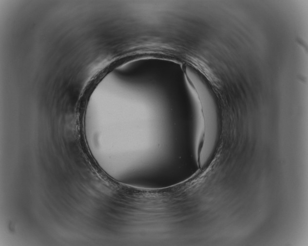 X0000091571164200708271151