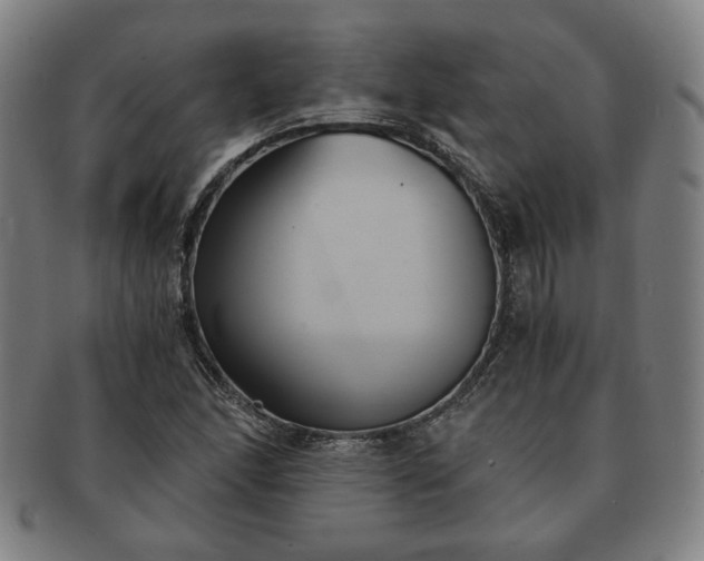 X0000091571166200708271151