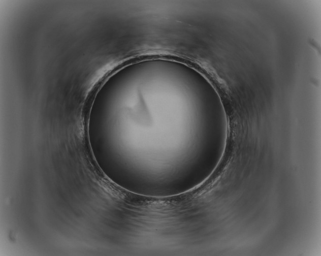 X0000091571167200708271151