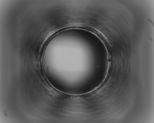 X0000091571168200708271151