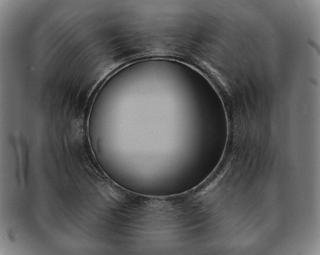 X0000091571170200708271151