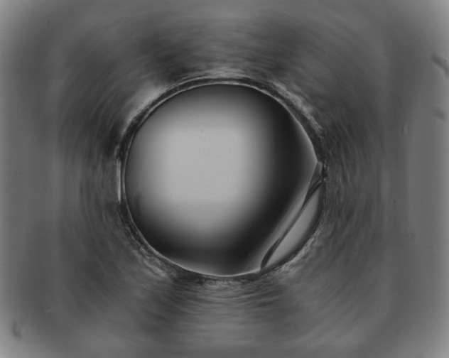 X0000091571171200708271151