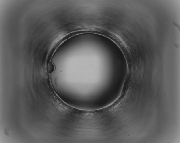 X0000091571172200708271151