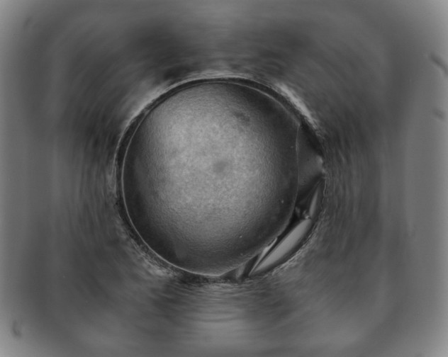 X0000091571173200708271151
