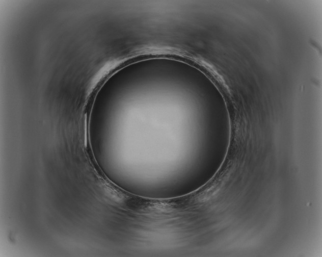 X0000091571175200708271151