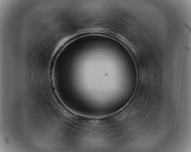 X0000091571176200708271151