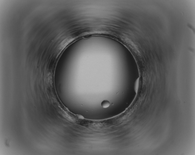 X0000091571177200708271151