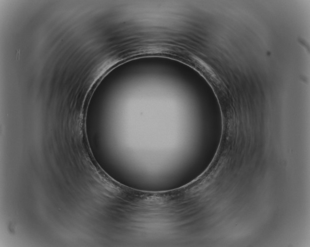 X0000091571178200708271151