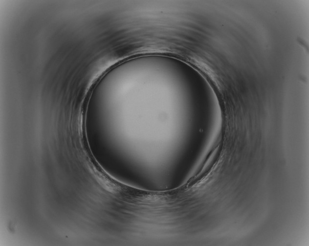 X0000091571179200708271151