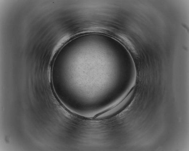 X0000091571180200708271151