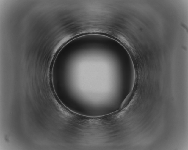 X0000091571181200708271151