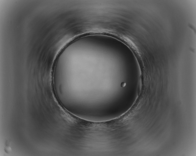 X0000091571183200708271151