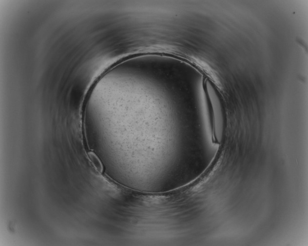 X0000091571184200708271151