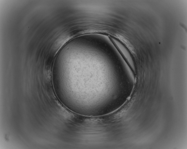 X0000091571185200708271151