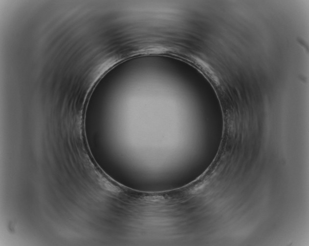 X0000091571186200708271151