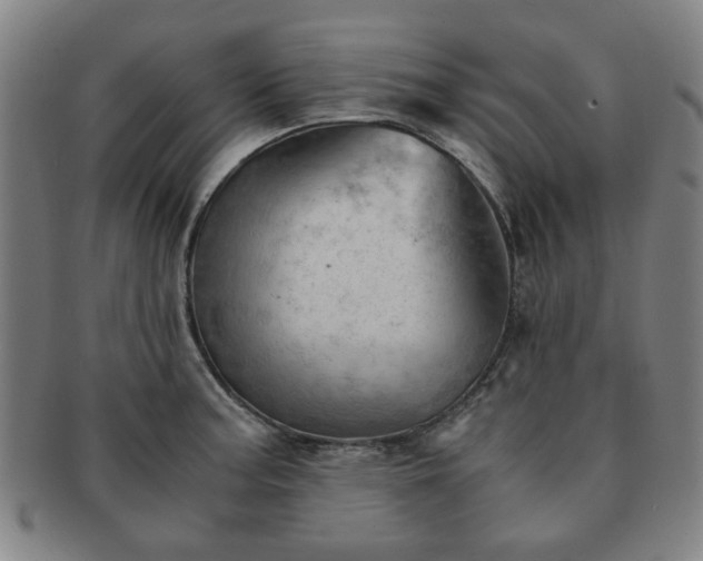 X0000091571187200708271151