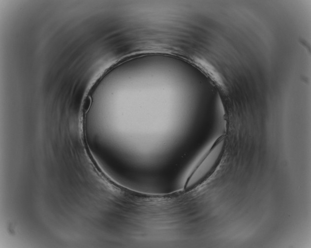 X0000091571188200708271151