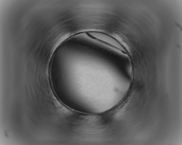 X0000091571189200708271151