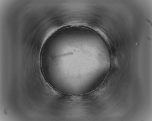 X0000091571191200708271151