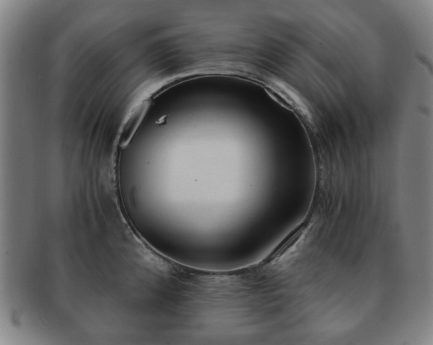 X0000091571192200708271151