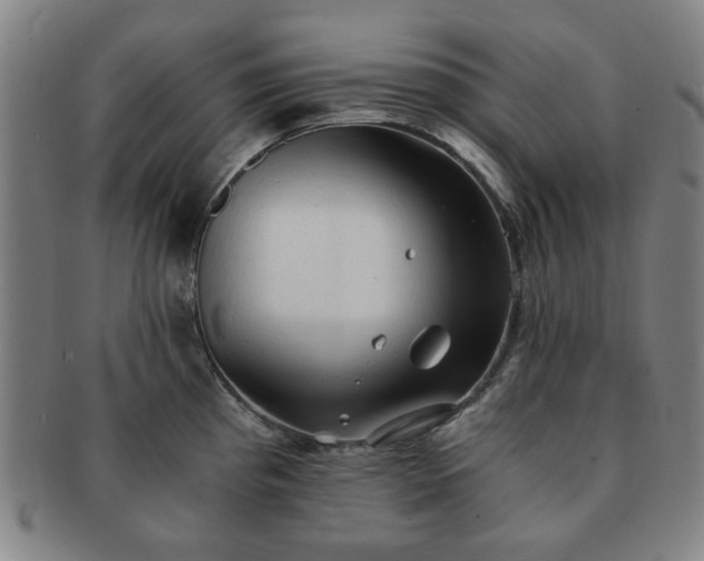X0000091571193200708271151
