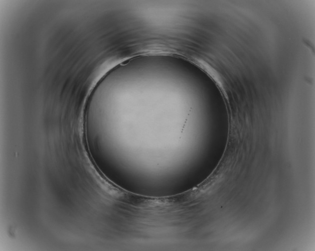 X0000091571195200708271151