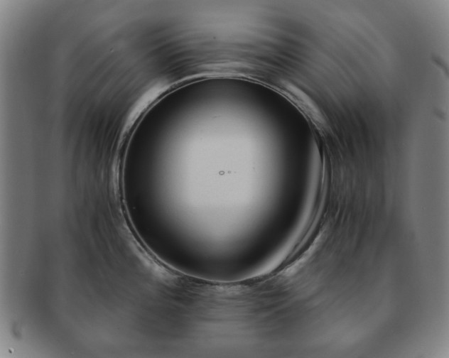 X0000091571196200708271151