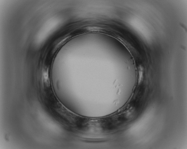 X0000091571198200708271151