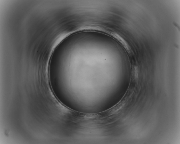 X0000091571199200708271151