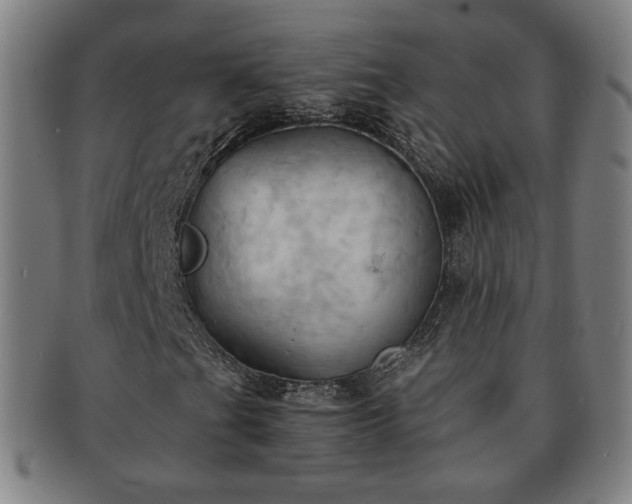 X0000091571201200708271150
