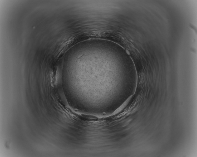 X0000091571202200708271150