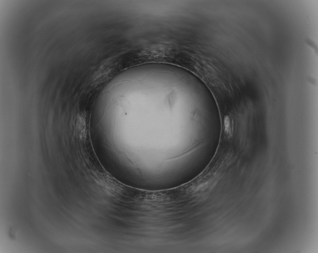 X0000091571203200708271150